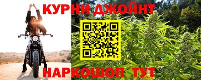 прущие грибы Ачхой-Мартан