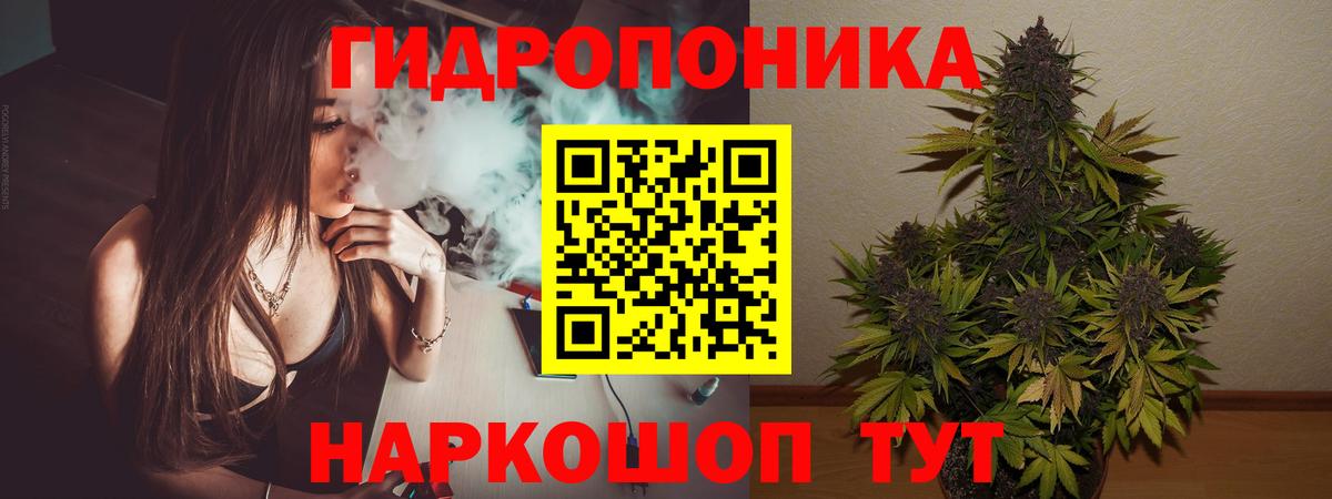 Бошки Шишки конопля Бийск